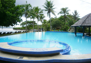 怎樣用吸污機對泳池有效去污?